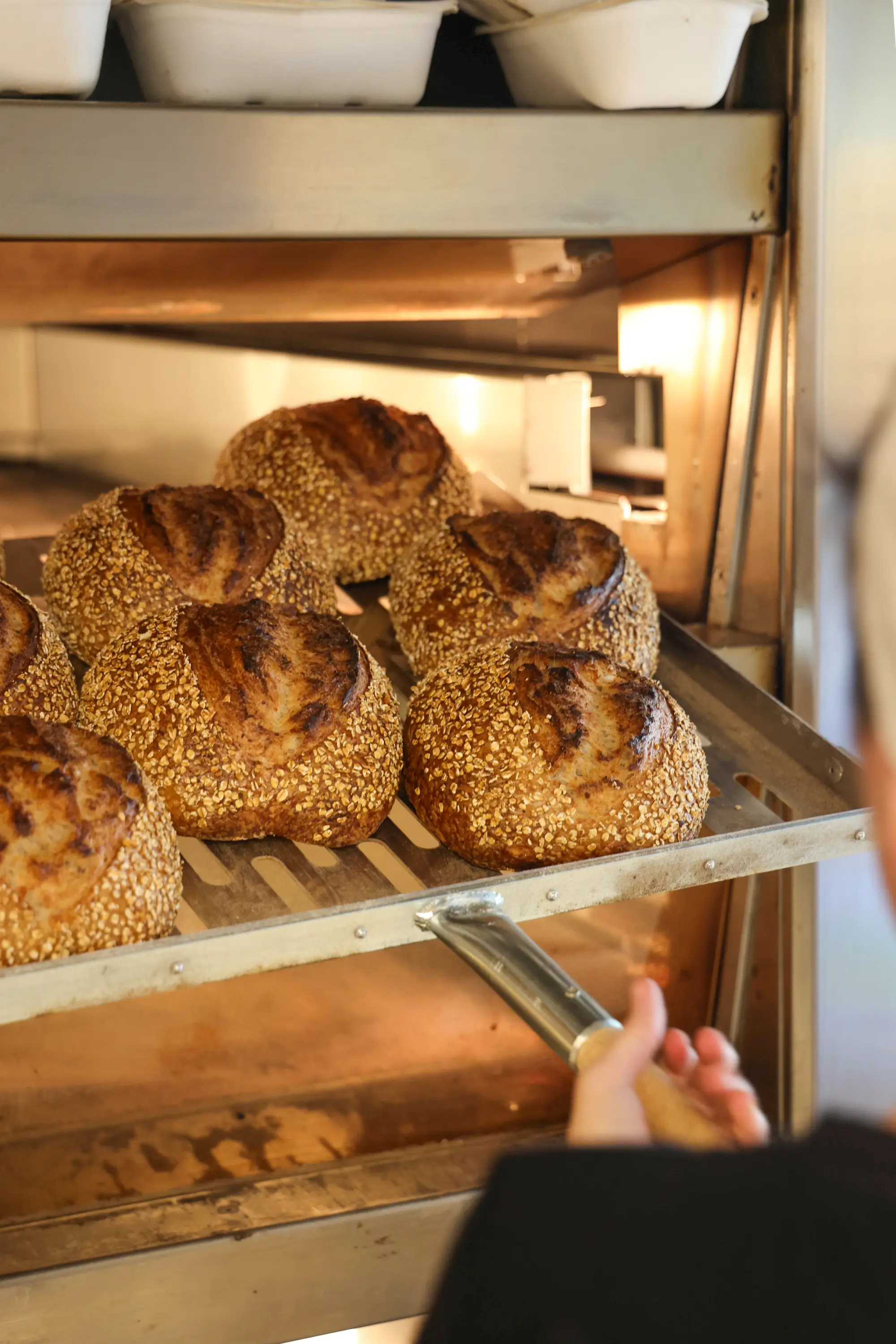 Sauerteigbrot frisch aus dem Ofen