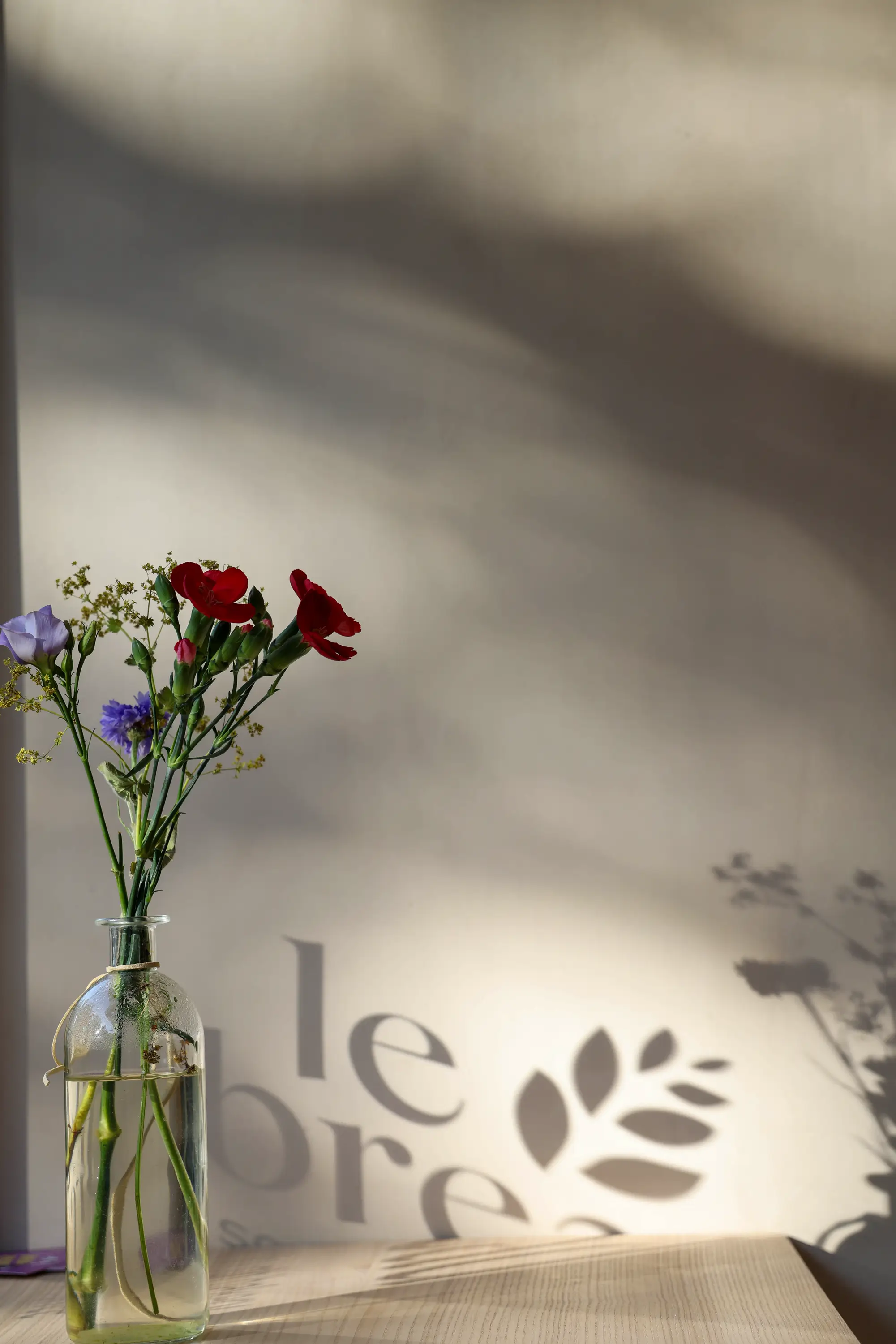 Schattenspiel der Schaufensterbeschriftung