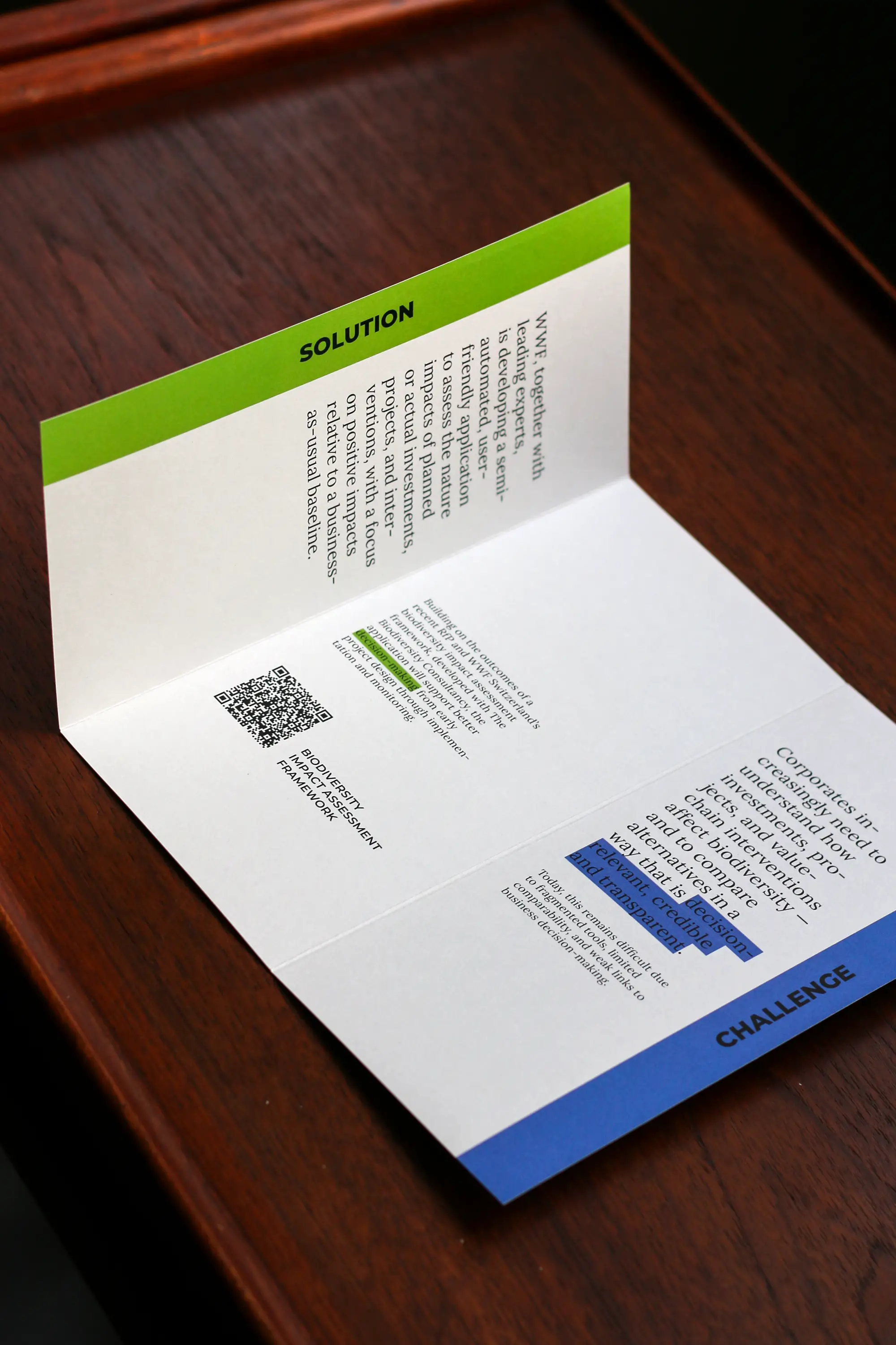 Biodiversity Impact Framework Flyer