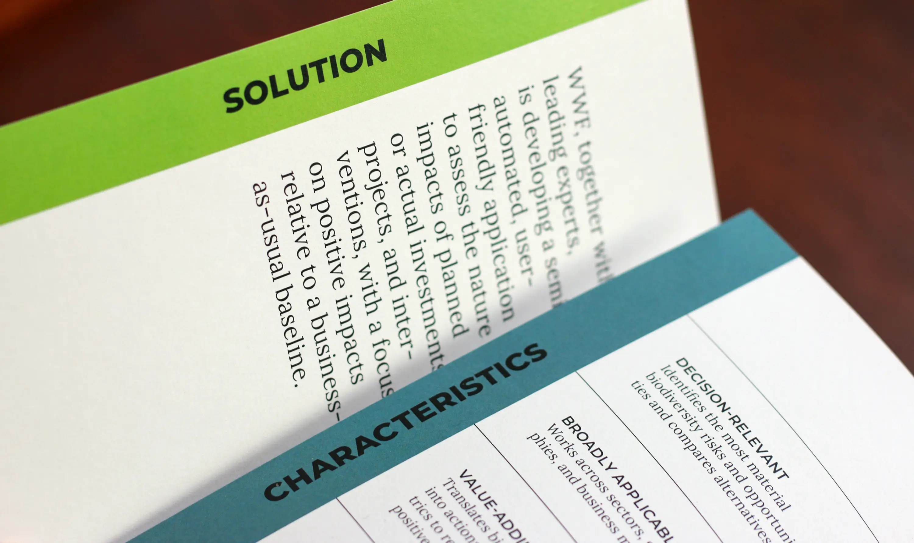 Biodiversity Impact Framework Flyer