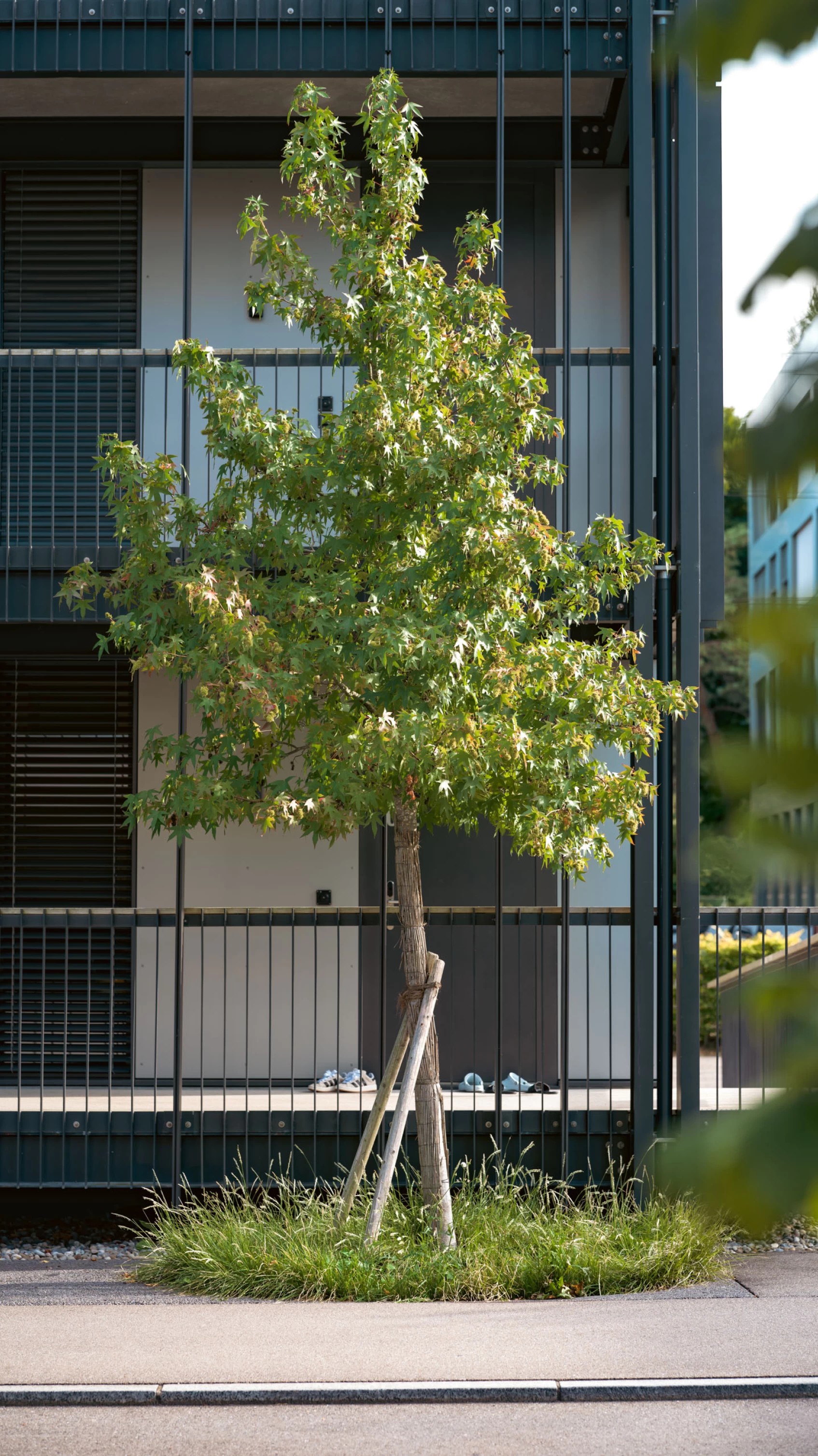 b20 serviced apartments bern, entry