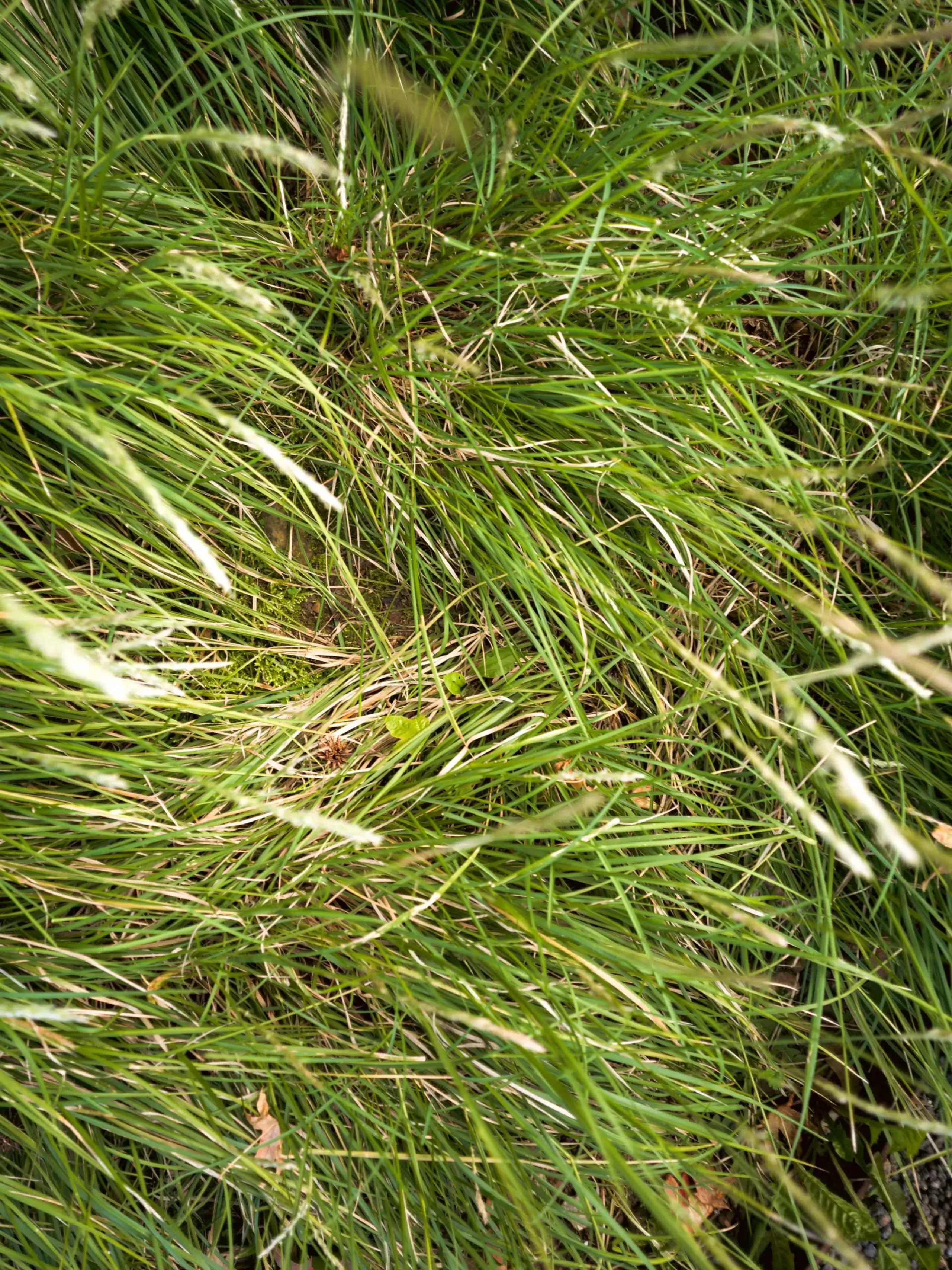 b20 serviced apartments bern, green